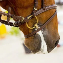 Mors De Bride*Feeling - Mors de bride 2 anneaux brisé Cyprium Doré