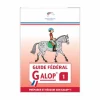 - Guide Fédéral Galop 1 Librairie