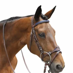 Online - Bridon combiné Paris avec rênes marron/ bleu Bridons Poneys|Bridons
