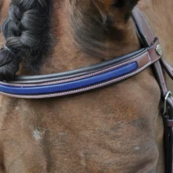 Online - Bridon combiné Paris avec rênes marron/ bleu Bridons Poneys|Bridons
