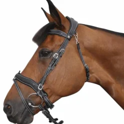 Dressage|Cso*Flags & Cup - Bridon Comfort combiné avec rênes Noir