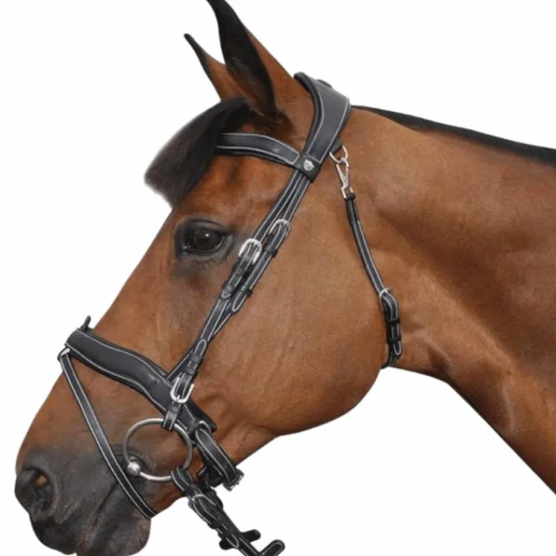 Dressage|Cso*Flags & Cup - Bridon Comfort combiné avec rênes Noir