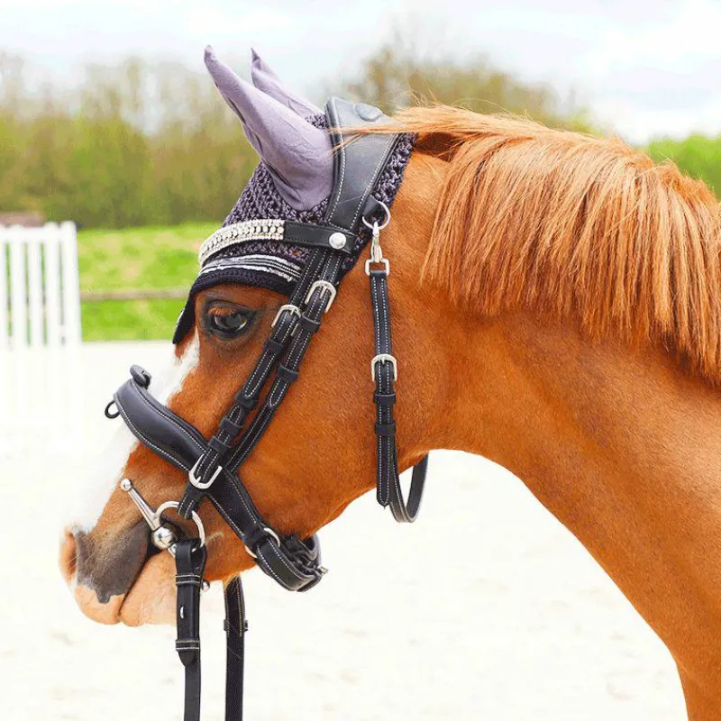 Dressage|Cso*Flags & Cup - Bridon Comfort combiné avec rênes Noir
