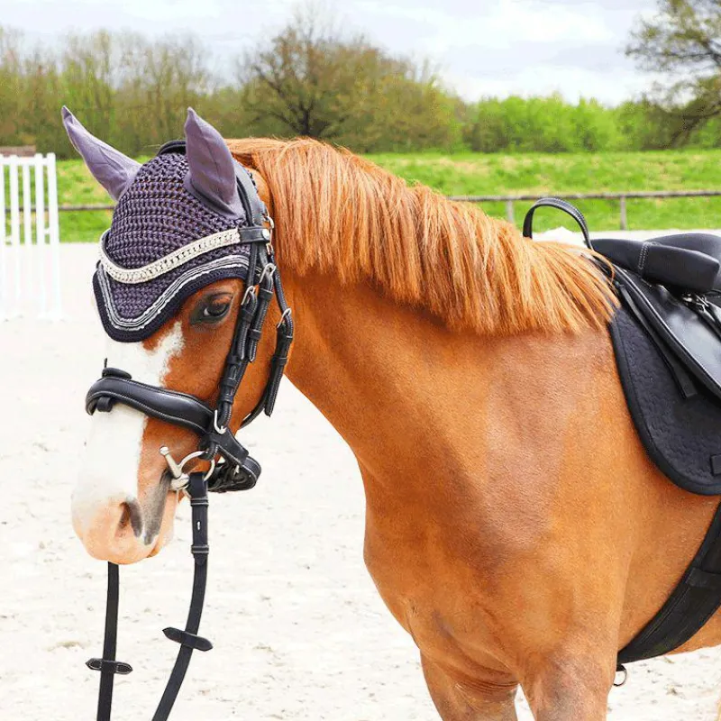 Dressage|Cso*Flags & Cup - Bridon Comfort combiné avec rênes Noir