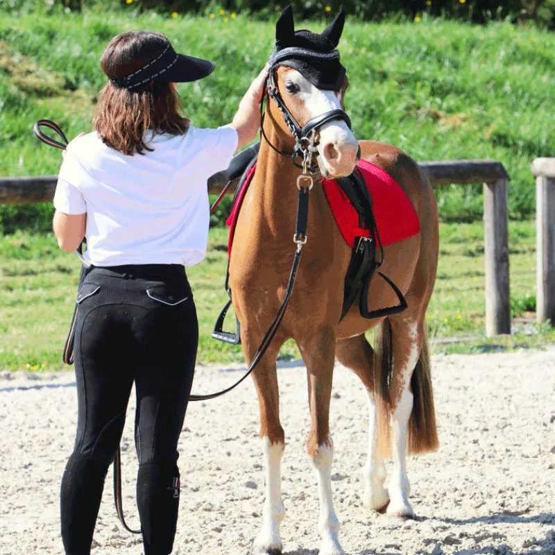 Dressage|Cso*Flags & Cup - Bridon Comfort combiné avec rênes Noir