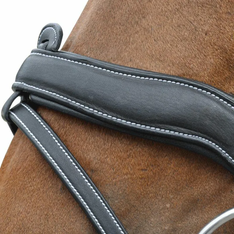 Dressage|Cso*Flags & Cup - Bridon Comfort combiné avec rênes Noir