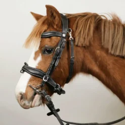 Dressage|Cso*Flags & Cup - Bridon Comfort combiné avec rênes Noir