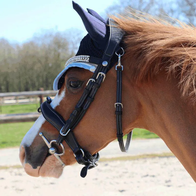 Dressage|Cso*Flags & Cup - Bridon Comfort combiné avec rênes Noir