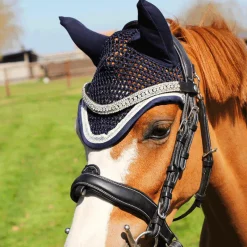 Dressage|Cso*Flags & Cup - Bridon Comfort combiné avec rênes Noir