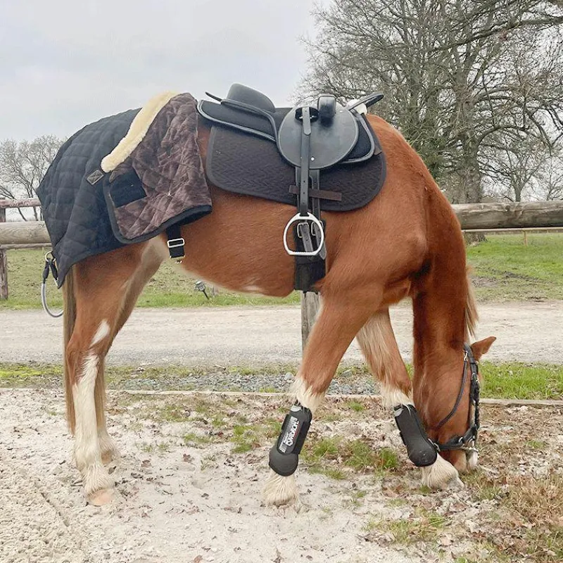 Cso|Dressage*Flags & Cup - Bridon Comfort combiné avec rênes Havane