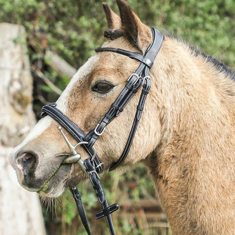 Discount - Bridon Doha avec rênes Bridons Poneys|Bridons