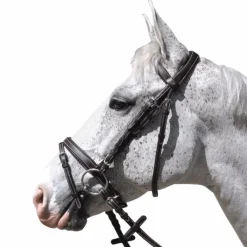 - Bridon Göteborg avec rênes marron Bridons Poneys|Bridons