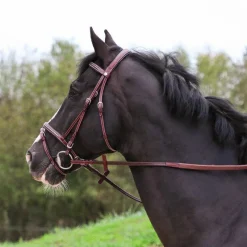 Outlet - Bridon Helsinki avec rênes marron Bridons Poneys|Bridons