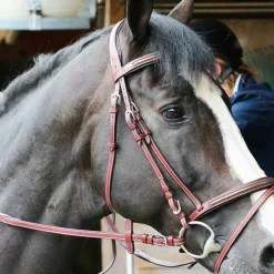 Outlet - Bridon Helsinki avec rênes marron Bridons Poneys|Bridons