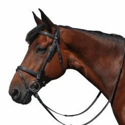 New - Bridon Helsinki avec rênes Cso|Bridons Poneys