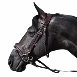 - Bridon Hickstead avec rênes marron Cso|Bridons Poneys