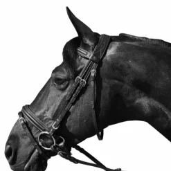 Bridons Poneys|Bridons*Flags & Cup - Bridon Hickstead avec rênes Noir