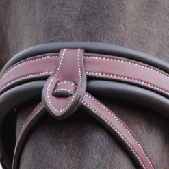 Hot - Bridon Madrid marron Cso|Bridons Poneys