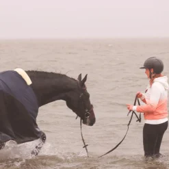 Bridons Poneys|Bridons*Flags & Cup - Bridon Oslo avec rênes marron Havane