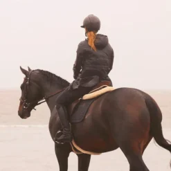 Bridons Poneys|Bridons*Flags & Cup - Bridon Oslo avec rênes marron Havane