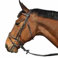 Discount - Bridon Oslo avec rênes Bridons Poneys|Bridons