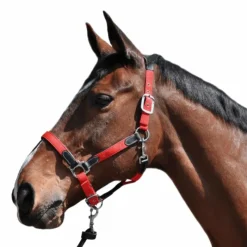 Licols En Nylon*Flags & Cup - Licol cheval nylon et cuir noir / Rouge