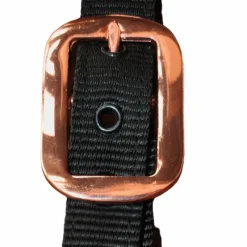 Licols En Nylon*Flags & Cup - Licol cheval nylon et cuir noir / gold Rose