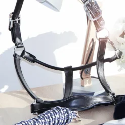 Discount - Licol cheval Cuir Paris /marine Élevage|Licols Poneys