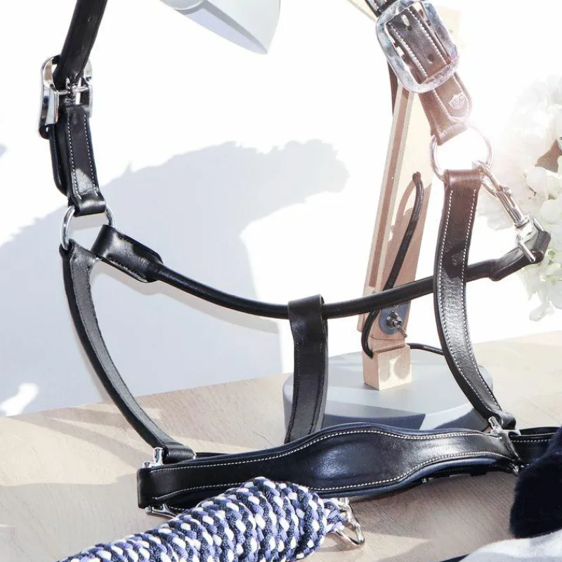 Discount - Licol cheval Cuir Paris /marine Élevage|Licols Poneys