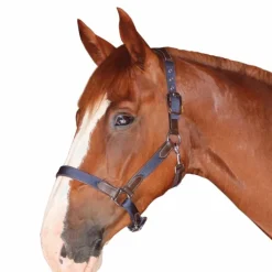 - Licol cheval nylon et cuir / marine Licols En Nylon