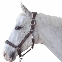 Sale - Licol cheval Cuir Paris /marine Élevage|Licols Poneys