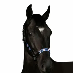 Licols Poneys|Licols En Cuir*Flags & Cup - Licol Chukka noir / marine / blanc / rouge