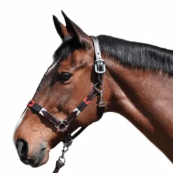 Licols Poneys|Licols En Cuir*Flags & Cup - Licol Chukka moka / bleu / rouge