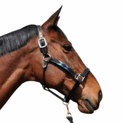 Licols Poneys|Licols En Cuir*Flags & Cup - Licol Chukka noir / marine / ciel