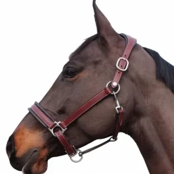 Best - Licol Comfort Licols Poneys|Licols En Cuir