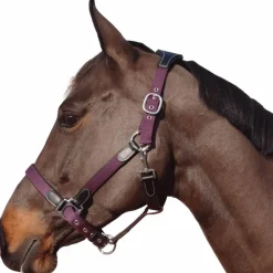 Licols Poneys|Licols En Nylon*Flags & Cup - Licol nylon et cuir / prune Noir