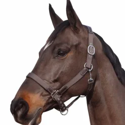 Licols Poneys|Licols En Nylon*Flags & Cup - Licol nylon et cuir Marron