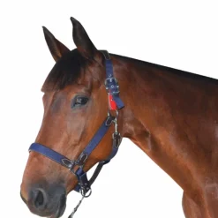 Discount Flags&Cup - Licol de sécurité Licols Poneys|Licols En Nylon