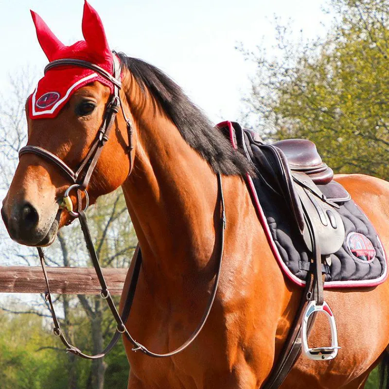 - Stickers Pays France Accessoires D'Étriers