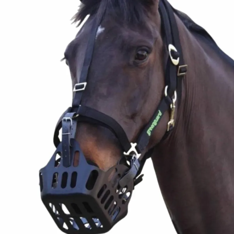 Paniers*Greenguard - Panier Thérapeutique Noir