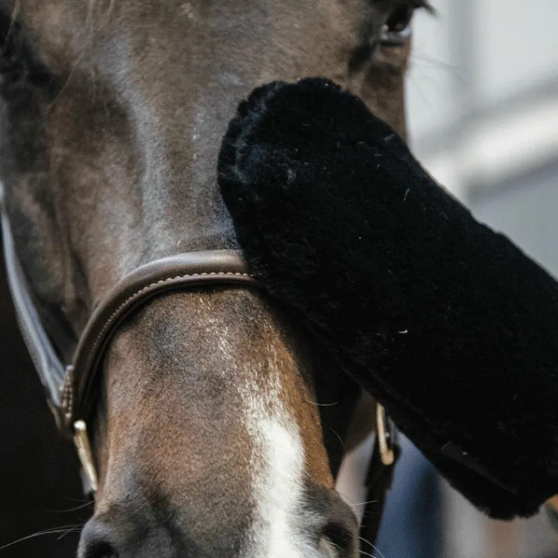 Best - Gant de pansage mouton noir Grooming|Gants De Pansage