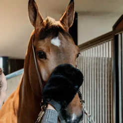 Best - Gant de pansage mouton noir Grooming|Gants De Pansage