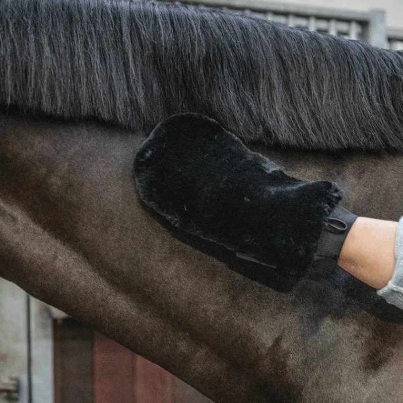 Best - Gant de pansage mouton noir Grooming|Gants De Pansage