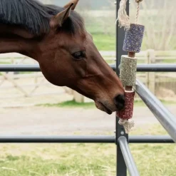 Sale - Jouet en bois relaxant pour cheval Freedom Jouets Pour Chevaux