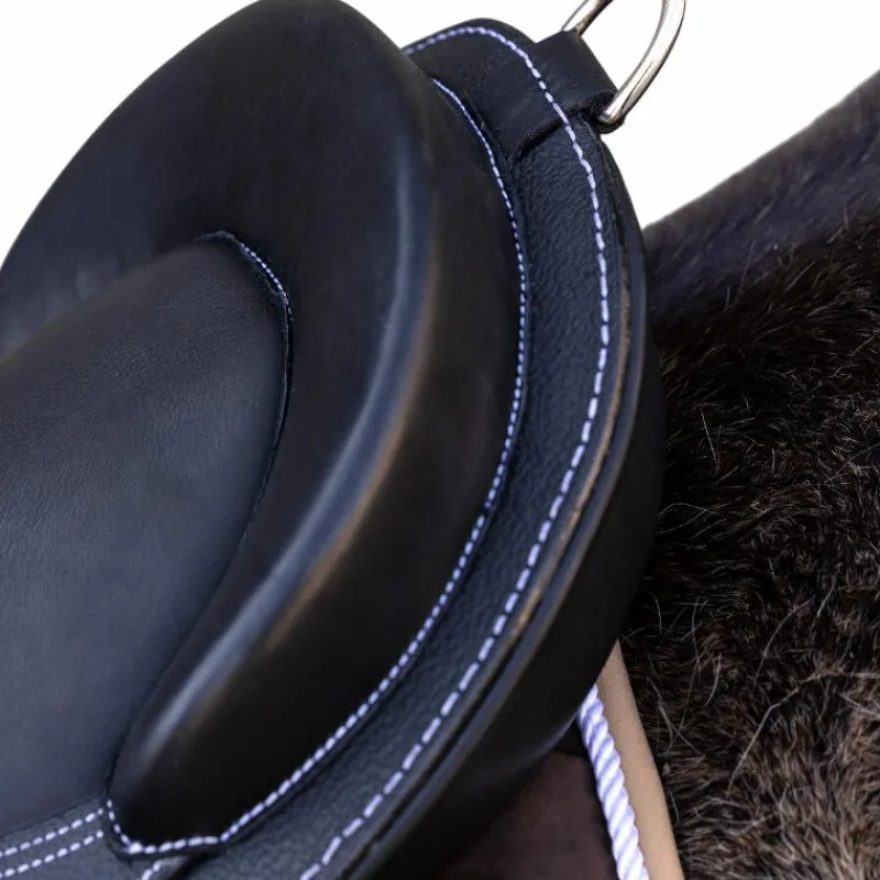 Bardettes*Guy Cantin - Selle éducative Evolution Jumping Noir