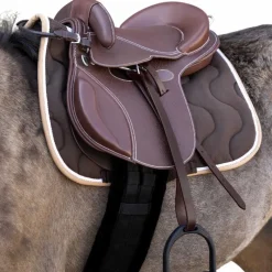 Bardettes*Guy Cantin - Selle éducative Evolution Havane