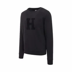 Pulls Et Gilets|Pulls Et Gilets*Hagg - Sweat col rond homme Noir