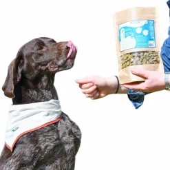 Outlet - Complément alimentaire croquettes confort locomoteur Moov pour chiens Compléments Alimentaires|Toutes Les Offres Dlc