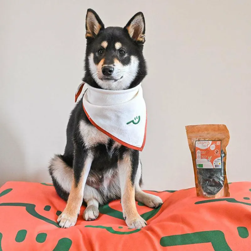 New - Friandises forme et vitalité crispy Top pour chiens Crackers Pour Chiens