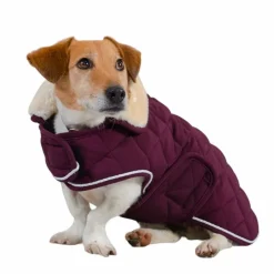 Sale - Couverture pour chien Rocket violine 0g Manteaux